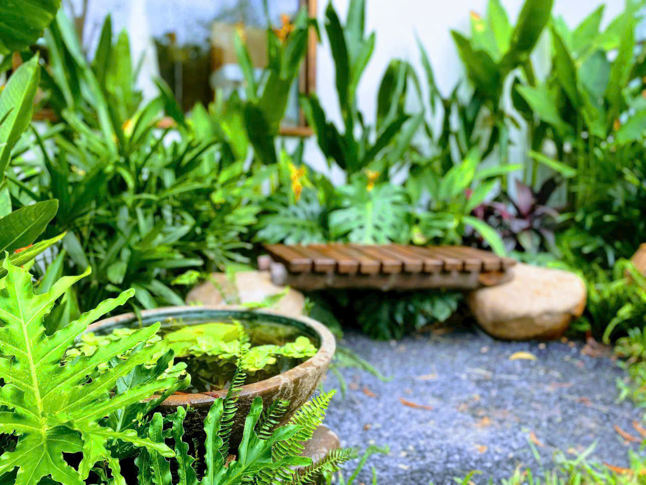 Thiết kế và thi công sân vườn cho spa tại hcm